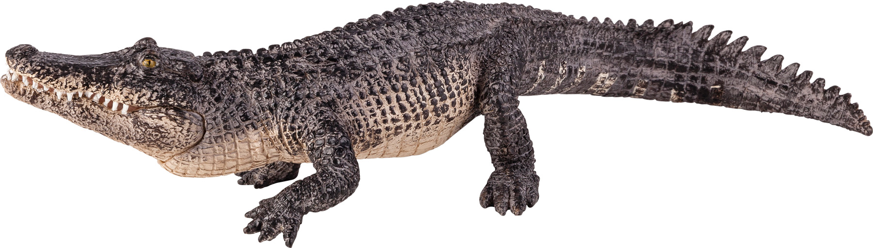 Mojo Alligator